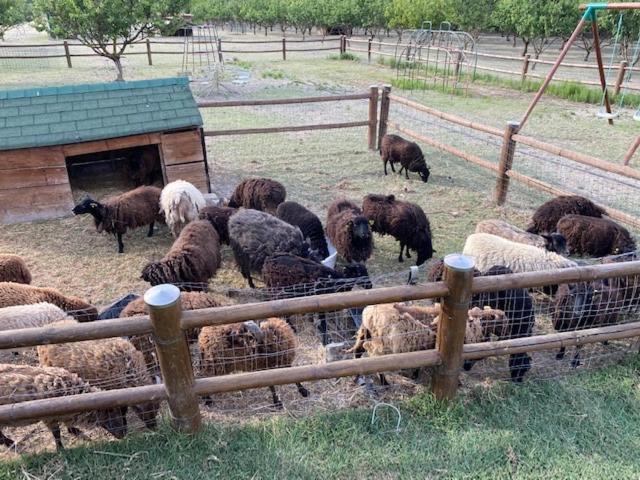 Agriturismo San Michele San Michele  エクステリア 写真