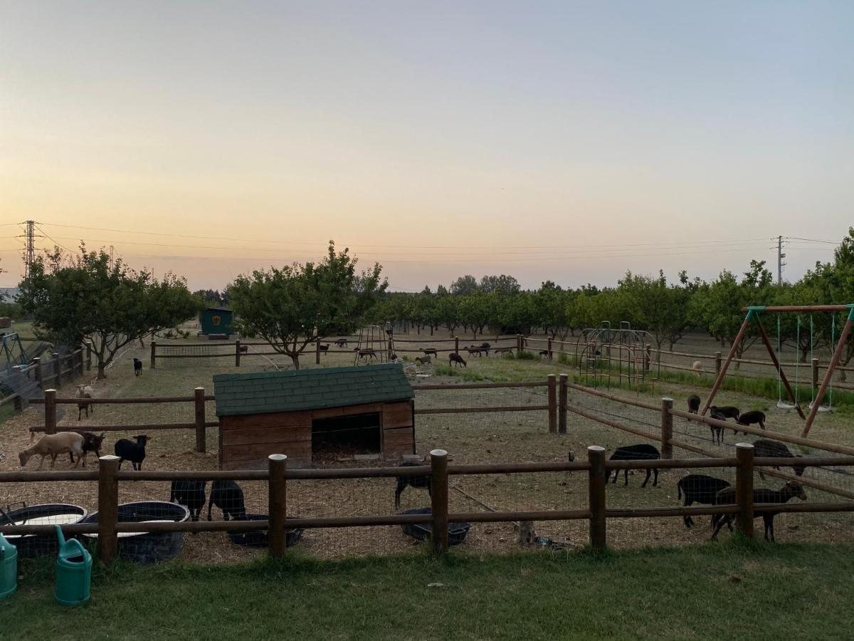 Agriturismo San Michele San Michele  エクステリア 写真